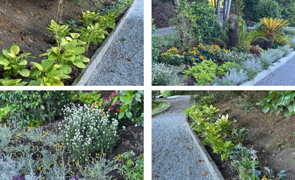 Varenna, nuovo splendore per Villa Monastero: conclusi i lavori al Giardino botanico