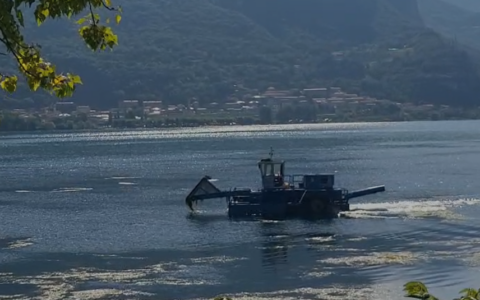 Lago di Garlate invaso dalle alghe: il battello spazzino è al lavoro