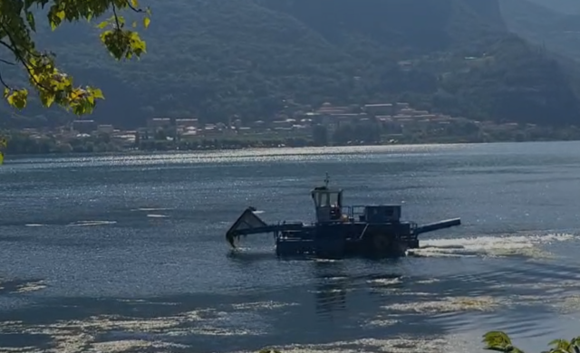 Lago di Garlate invaso dalle alghe: il battello spazzino è al lavoro