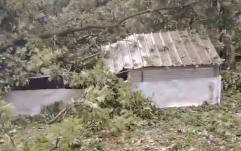 Maltempo a Calolziocorte, frana in via ai Colli: uno smottamento travolge un pollaio