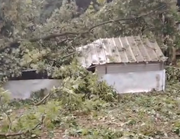 Maltempo a Calolziocorte, frana in via ai Colli: uno smottamento travolge un pollaio
