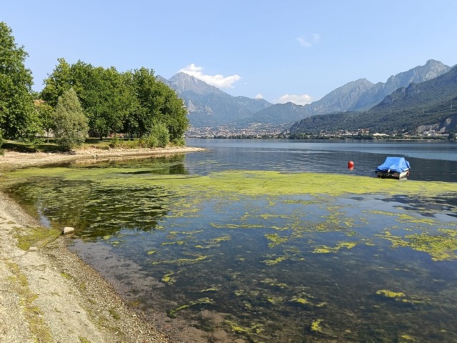 Oltre 600mila euro il Lago di Garlate e quello di Sartirana