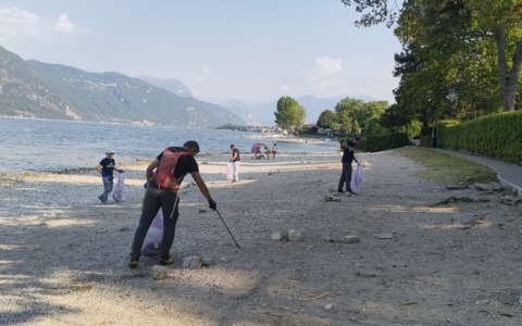 Abbadia: trovata un’anatra morta con una corda al collo in spiaggia