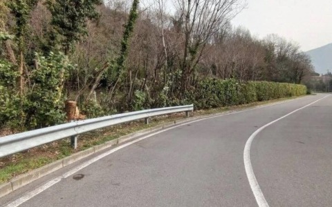 Riparte la prossima settimana il taglio del verde a bordo strada