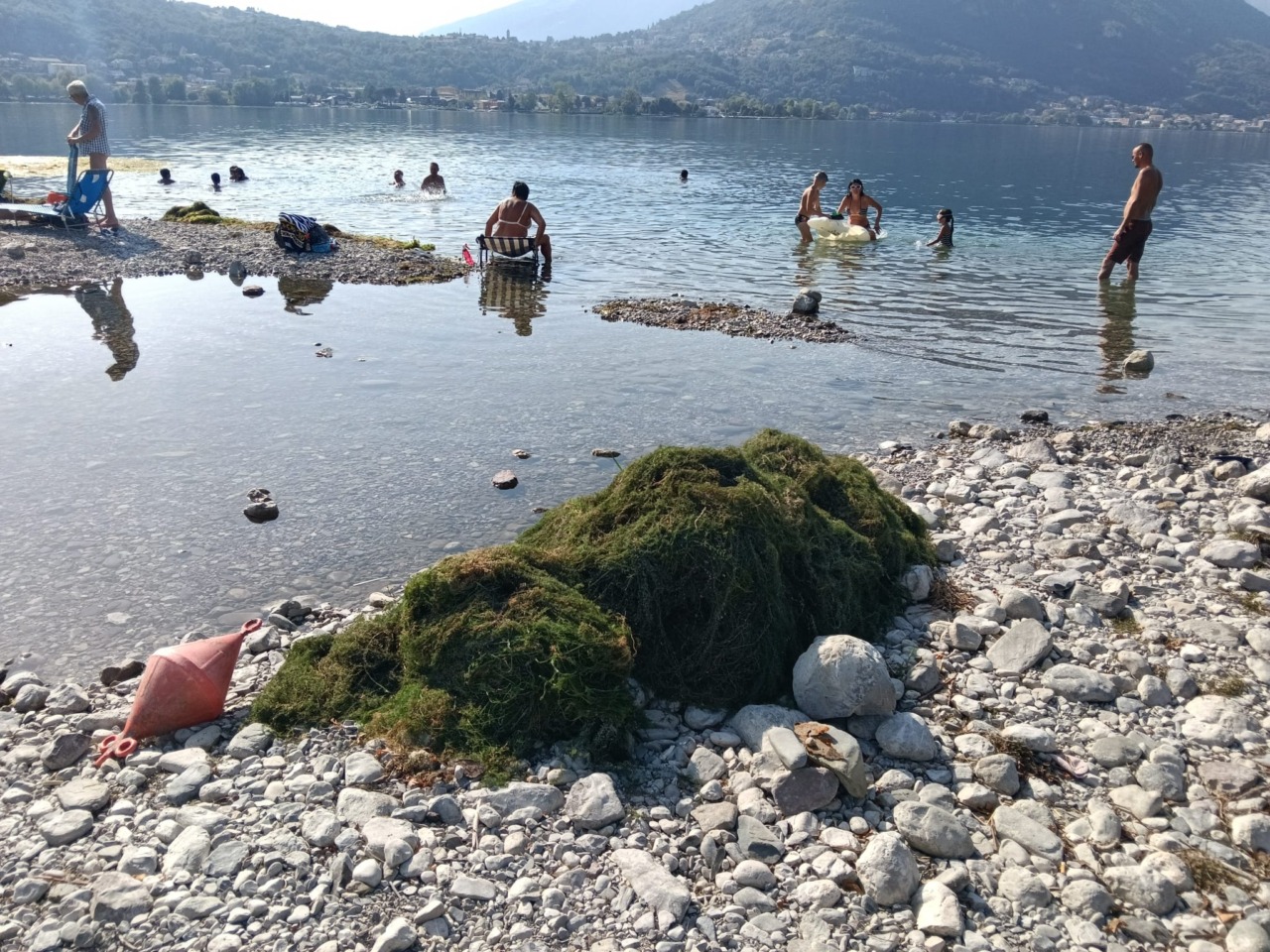 Emergenza alghe al lido di Vercurago, scatta il divieto di balneazione
