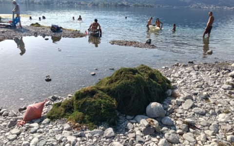 Emergenza alghe al lido di Vercurago, scatta il divieto di balneazione