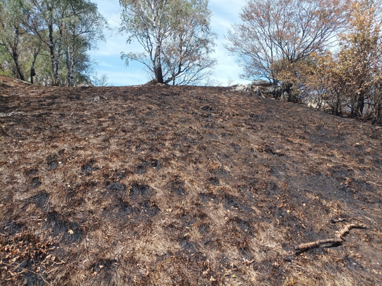 Incendio Moregallo, dopo l’emergenza l’appello per la prevenzione