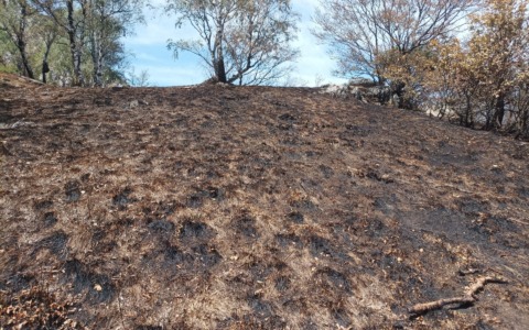Incendio Moregallo, dopo l’emergenza l’appello per la prevenzione