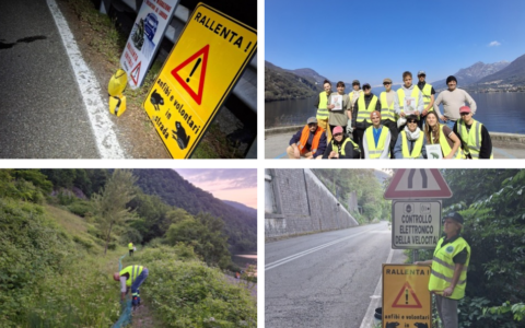 Anfibi, in salvo oltre 32mila rospi: conclusa la campagna della Provincia di Lecco
