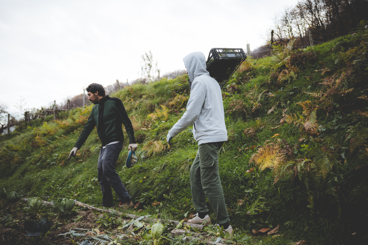 Adolescenti in difficoltà, ad Airuno il progetto “Natura Maestra”