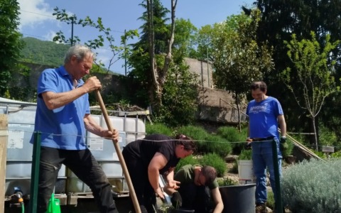 Lecco, gli orti sociali crescono: anziani protagonisti tra natura, inclusione e nuove relazioni