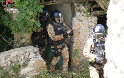 Droga nei boschi, quattro arresti sul Lago. Oltre un chilo di eroina nascosto tra le foglie