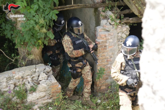 Droga nei boschi, quattro arresti sul Lago. Oltre un chilo di eroina nascosto tra le foglie