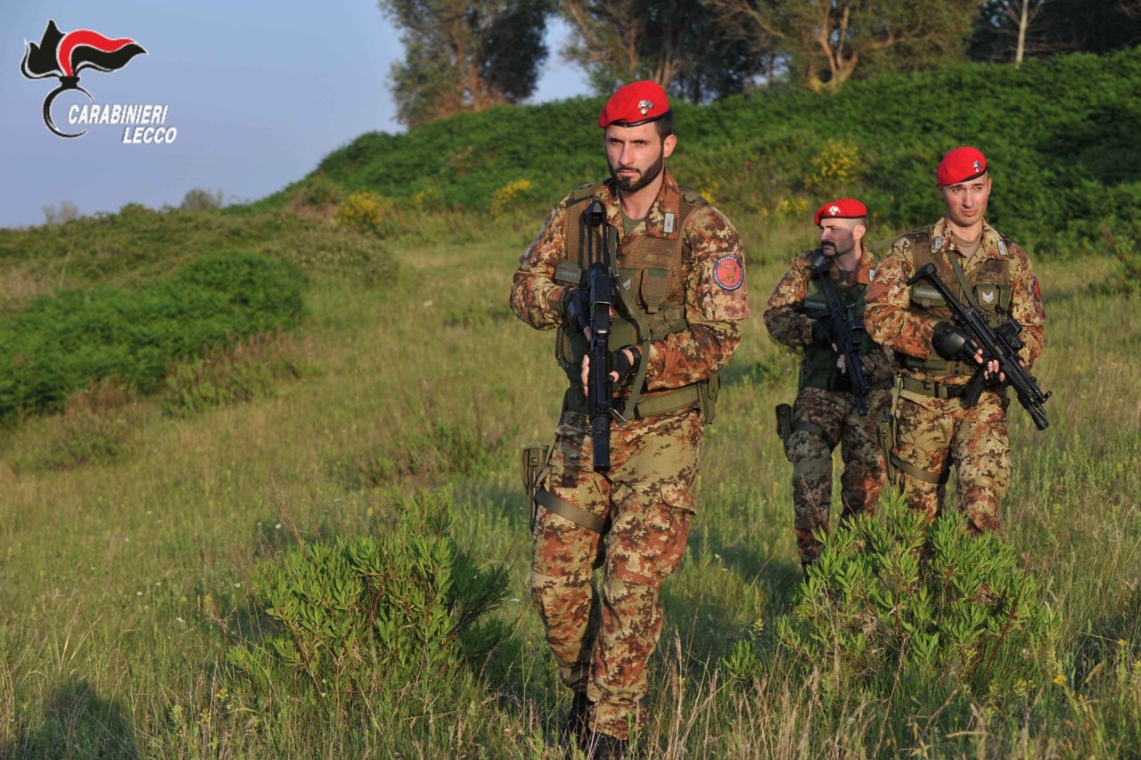 Droga nei boschi, la politica plaude all’operazione: «Controlli da rafforzare»