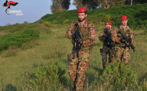 Droga nei boschi, la politica plaude all’operazione: «Controlli da rafforzare»
