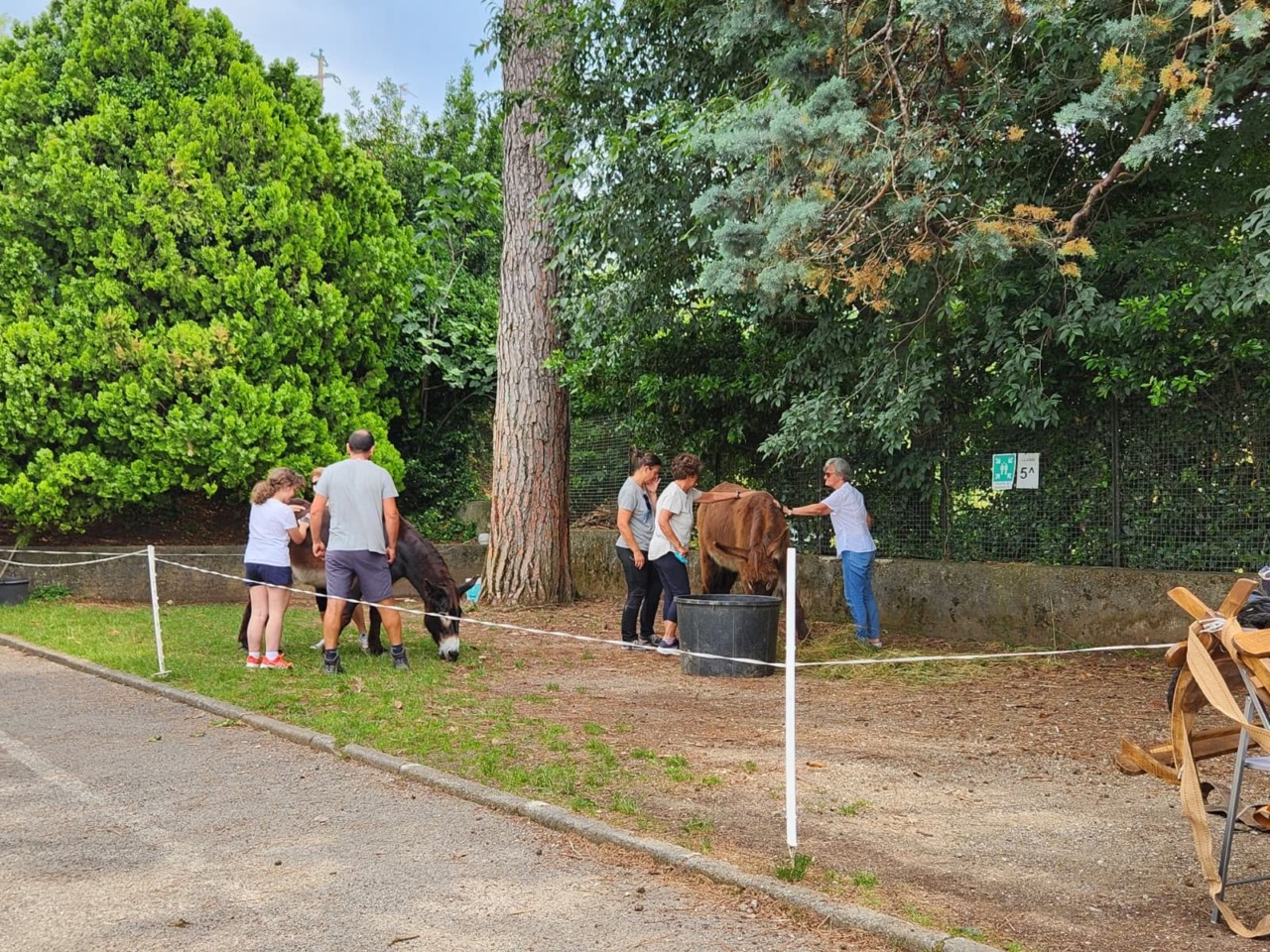 Provincia di Lecco,  torna “Generazione Gold – Attivati!”: un mese di eventi gratuiti per gli over 65