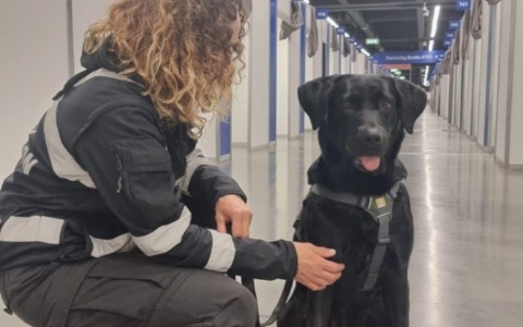 Più agenti, telecamere e controlli con cani antidroga: Lecco rafforza il piano sicurezza